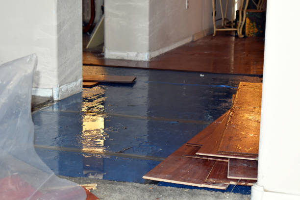 Professional Flood Cleanup technician working in Versailles, IN